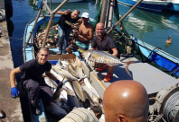  بالصور: اصطياد طن من أسماك "الانتياسات" على شواطئ مدينة يافا 